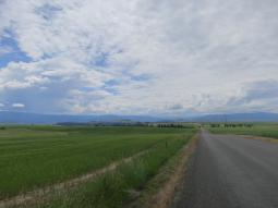 image_6487f41a950907_55247884.JPG